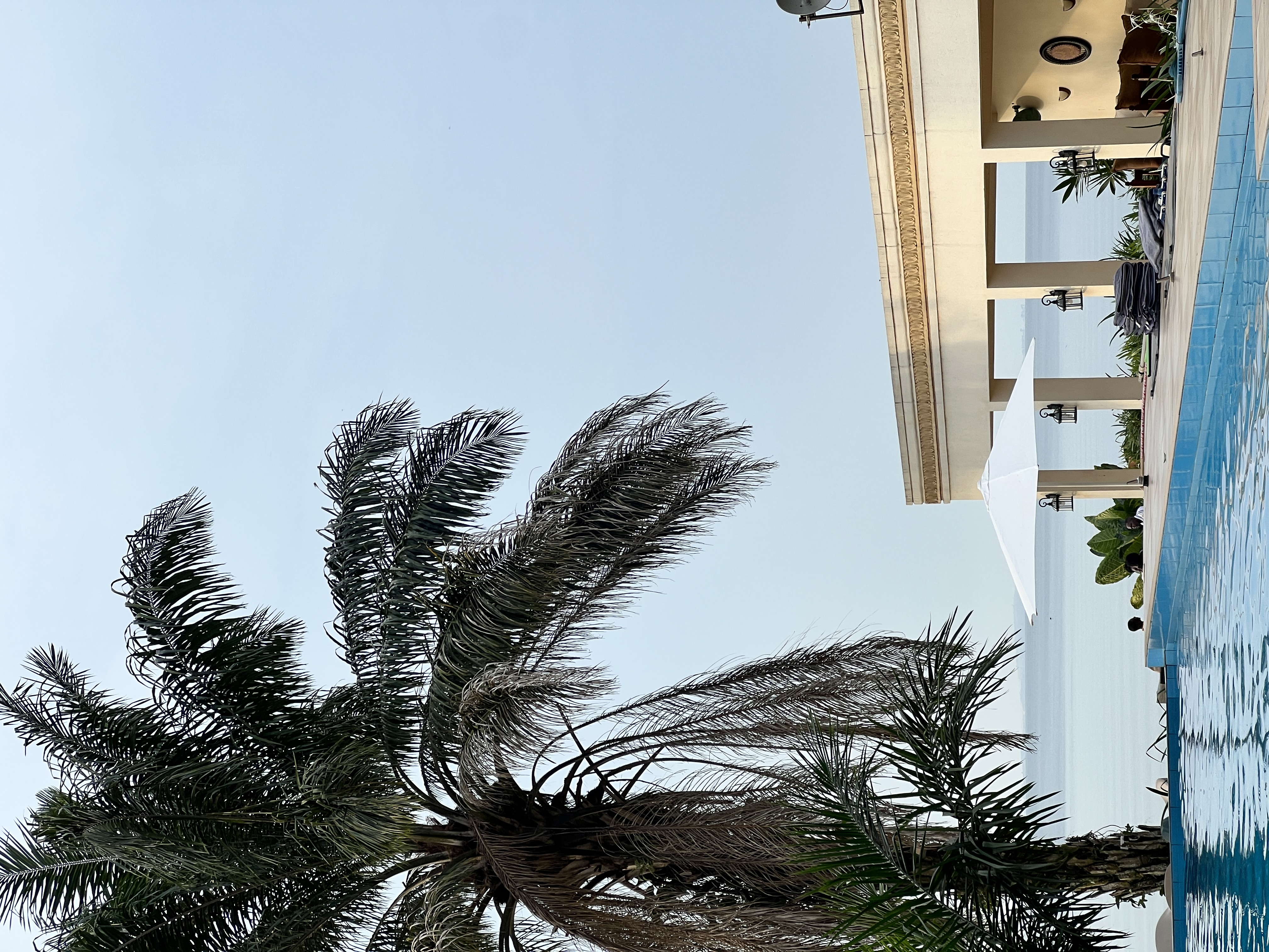 Palm trees and pool at Brovad Sands Lodge, Ssese Islands